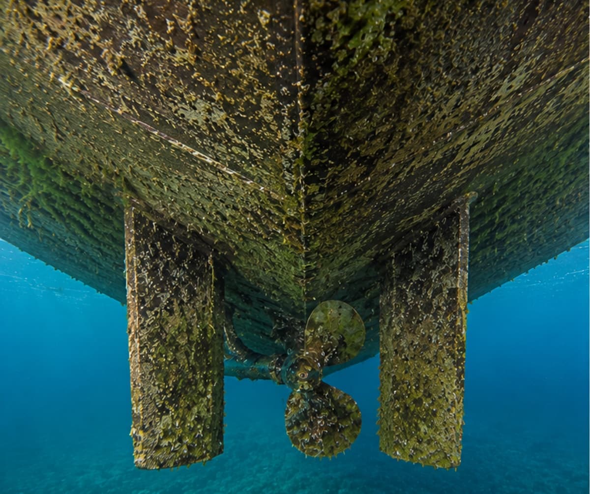 Biofouled underwater boat bottom with visible marine growth on the hull, rudders, and propeller